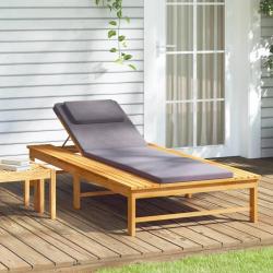 Chaise longue et coussin/oreiller gris fonc&eacute; bois massif acacia