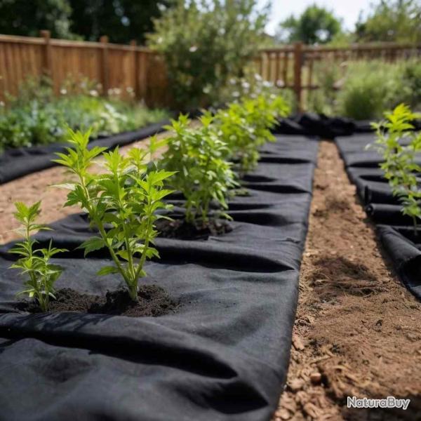 Membrane g�otextile noir 1 x 150 m fibre de polyester