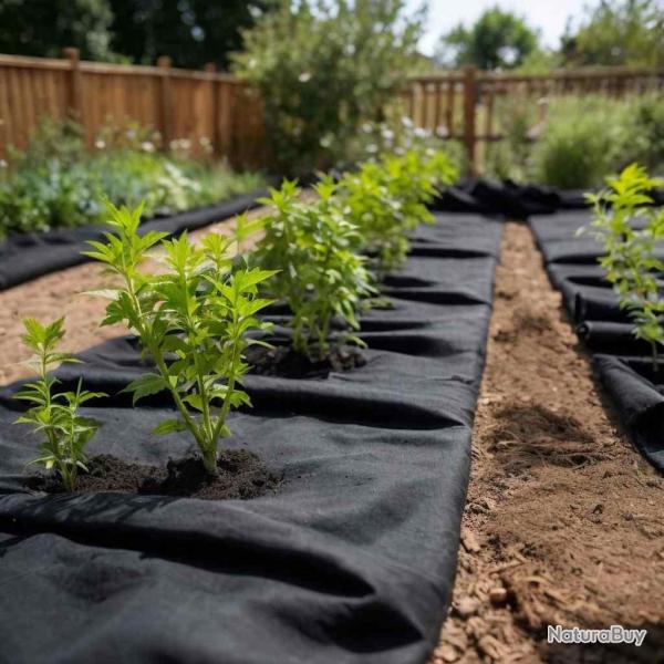 Membrane g�otextile noir 1 x 10 m fibre de polyester alsavelo