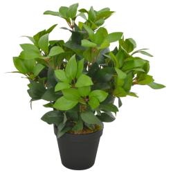 Plante artificielle avec pot Laurier Vert 40 cm alsavelo
