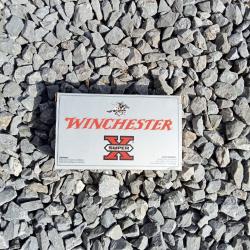 Balle de 243 winchester super X