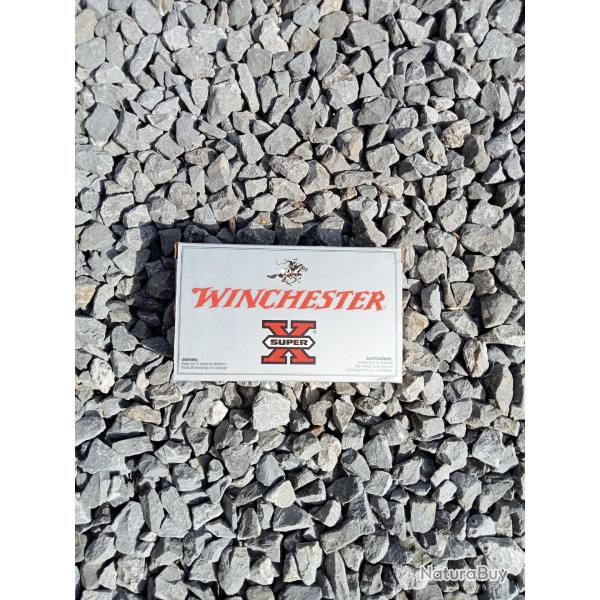 Balle de 243 winchester super X