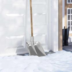 T&ecirc;te de pelle 4 pcs Argent 45 x 38 cm Aluminium