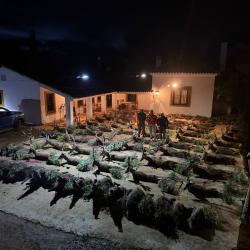 S&eacute;jour Monter&iacute;a PREMIUM - Ciudad Real - 3 jours de chasse / 4 nuits - Territoires d'exception