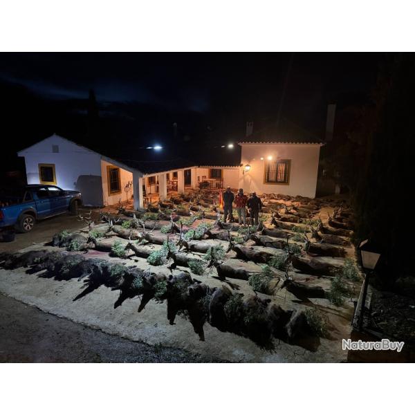 S�jour Monter�a PREMIUM - Ciudad Real - 3 jours de chasse / 4 nuits - Territoires d'exception