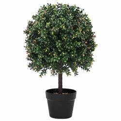 Boule en Buis Vert 35 x 35 x 50 cm Plastique