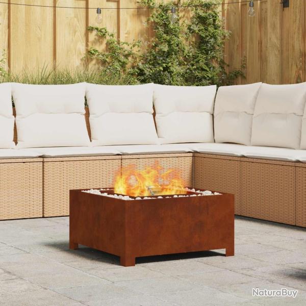Foyer de chemin�e Marron 60 x 60 x 30 cm Acier patin�