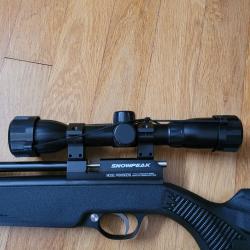 Lunette de tir Gamo LC 4x32 WR rail 11 mm