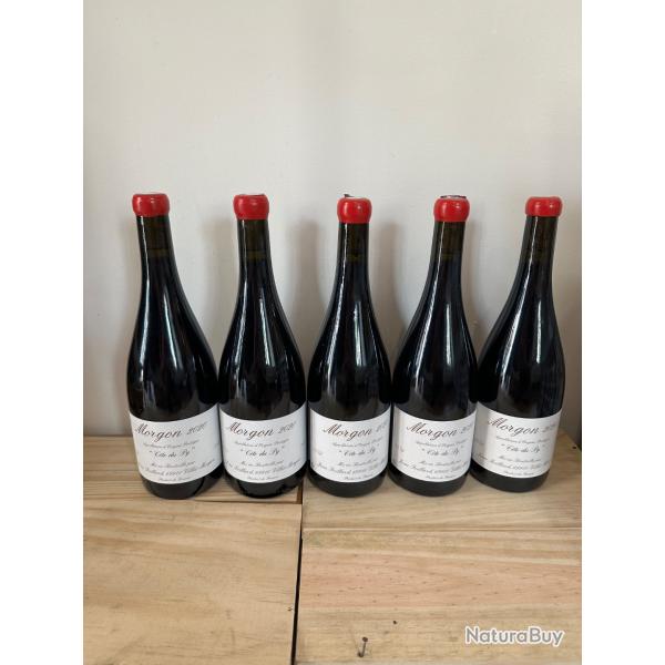 Morgon c�t� du py 2020 Jean foillard