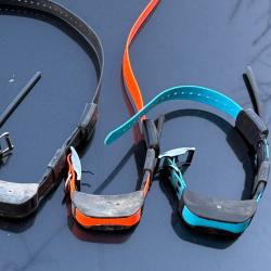 Sportdog collier gps tek 2.0