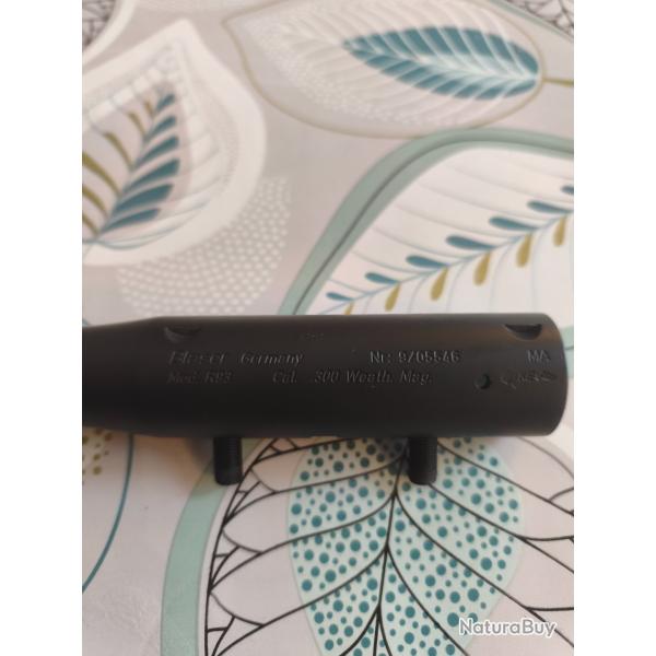 Canon r93 300 weatherby