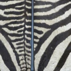 Canon BLASER R93 cal.300wm avec chargeur