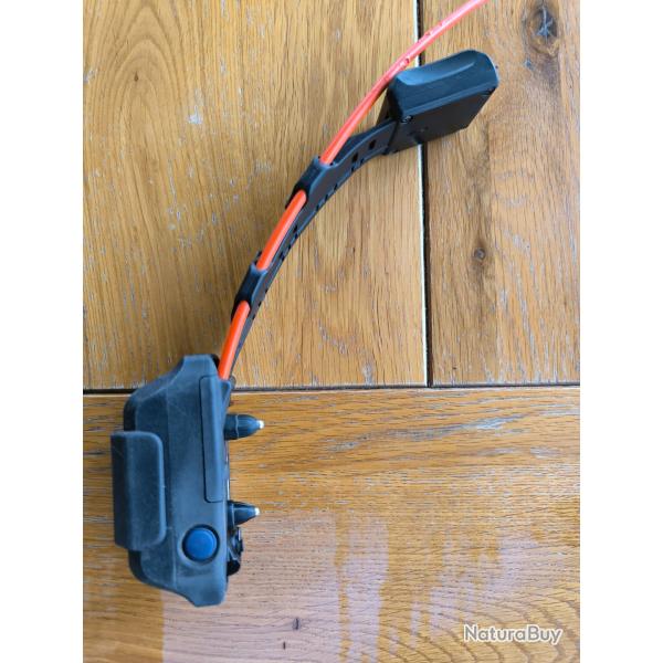 Collier dogtra pathfinder