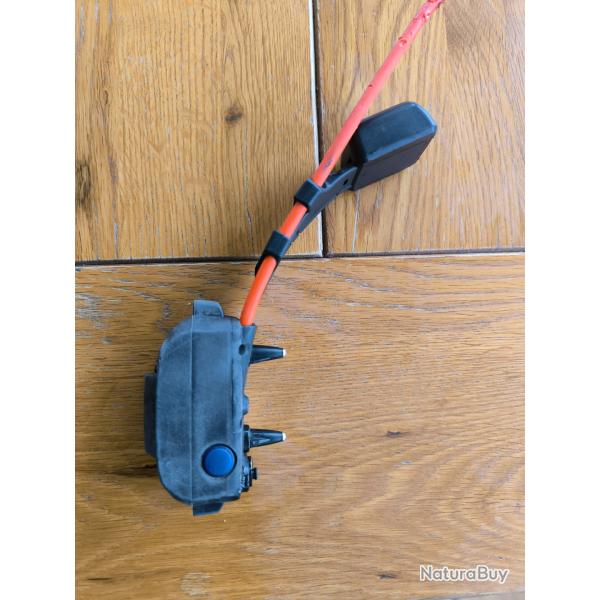 Collier dogtra pathfinder mini