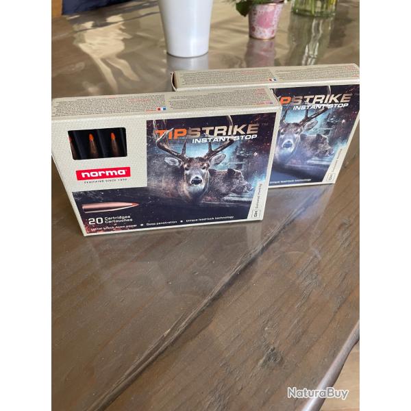 Bo�te x2 Norma TIPSTRIKE 8x68S 11,7g