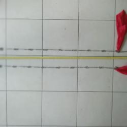 cha&icirc;ne 9 sections (Kung fu)