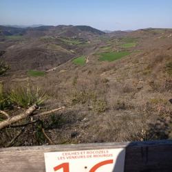 action chasse disponible