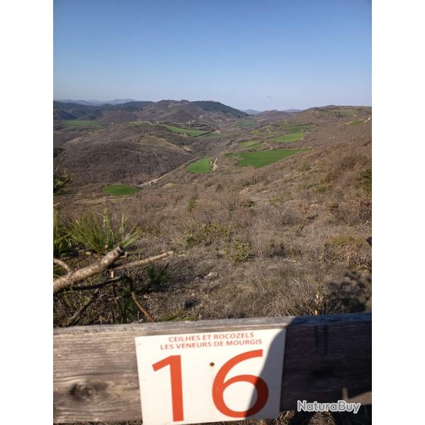 action chasse disponible