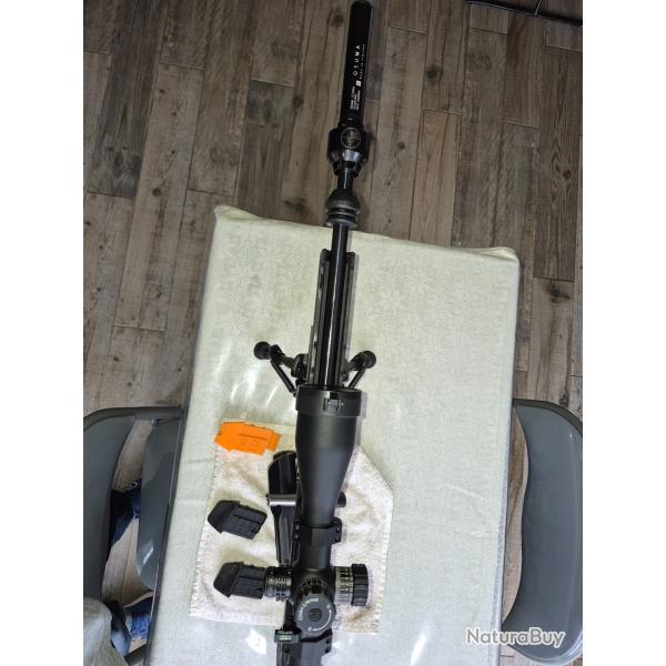 Tikka T1 x Ace target