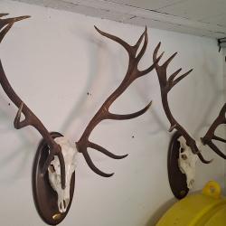 COLLECTION 60 ANS DE CHASSE FRANCAISE GROS GIBIERS