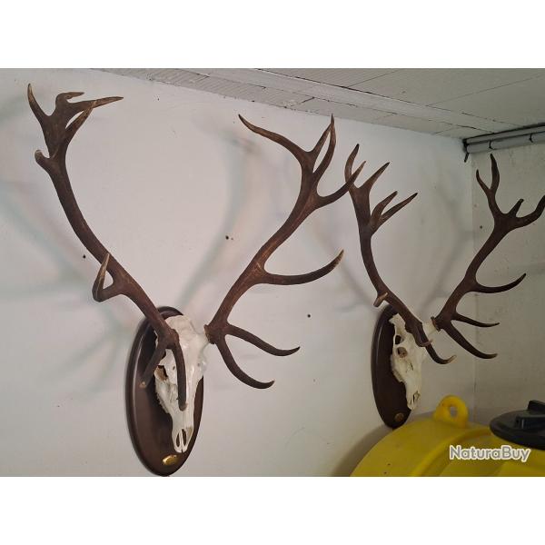 COLLECTION 60 ANS DE CHASSE FRANCAISE GROS GIBIERS