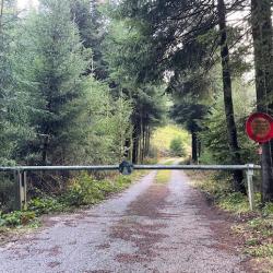 Action de chasse battue grand gibier