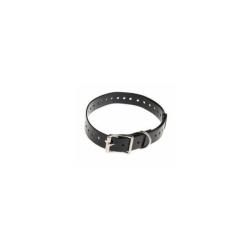 Collier pour chien polyur&eacute;thane Num'Axes - 25 mm Bleu