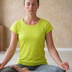 Tee shirt MAYFLOWER DERICK4 col bateau l &eacute;clat solaire du coton flamm&eacute;