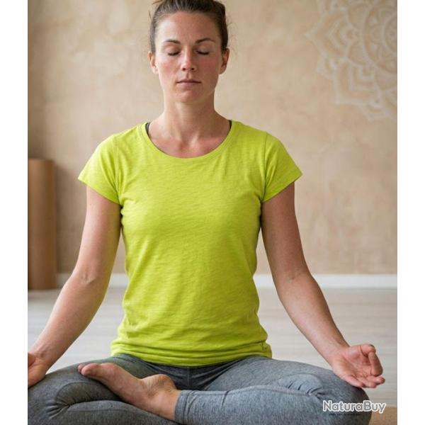 Tee shirt MAYFLOWER DERICK4 col bateau l �clat solaire du coton flamm�