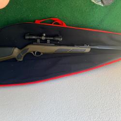 Carabine &agrave; plomb Gamo 19 joules + lunette + housse