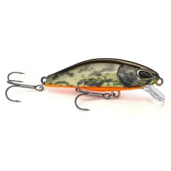 Poisson nageur NAYS RNN 50 S-44