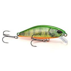 Poisson nageur NAYS RNN 50 S-45