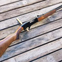 Carabine Winchester mod 190 Cal.22lr