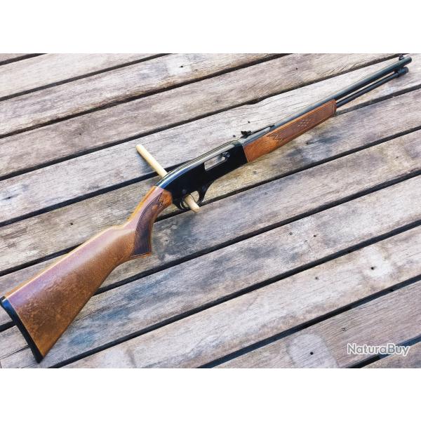 Carabine Winchester mod 190 Cal.22lr