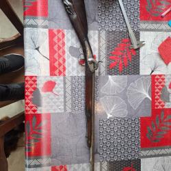 Petite carabine &agrave;  piston