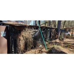 Donne cabane palombi&egrave;re