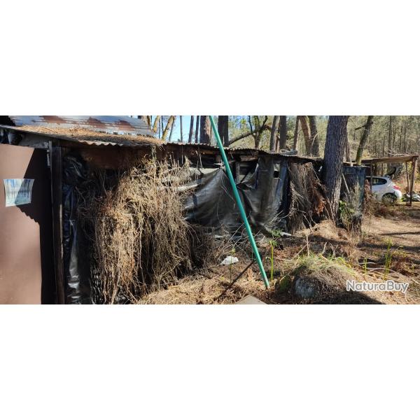 Donne cabane palombi�re