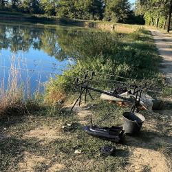 Lot mat&eacute;riel p&ecirc;che &agrave; la carpe