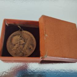 M&eacute;dailles Verdun 21 f&eacute;vrier 1916 en bronze avec sa bo&icirc;te. Diam&egrave;tre 3 CMS environ.