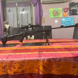 Custom 22 lr citadel track r crosse r&eacute;glable optique 2-12x24 tir ffp silencieux schultz et larsen