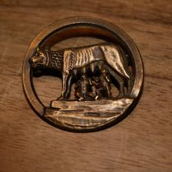 Insigne ESCADRON DE RAVITAILLEMENT EN VOL 3-93 LANDES