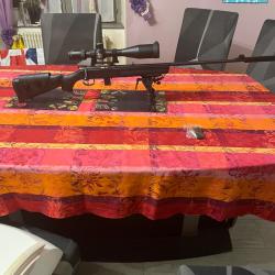 Norconia  22 lr nr 15 pr&eacute;par&eacute; &eacute;bavur&eacute; pr&eacute;cision remarquable &agrave; voir absolument