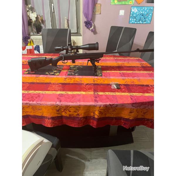 Norconia  22 lr nr 15 pr�par� �bavur� pr�cision remarquable � voir absolument