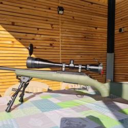 Ruger american rifle predator 308win