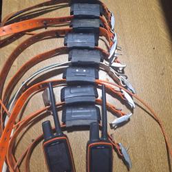 Garmin astro 320 en us et collier Dc40 en us