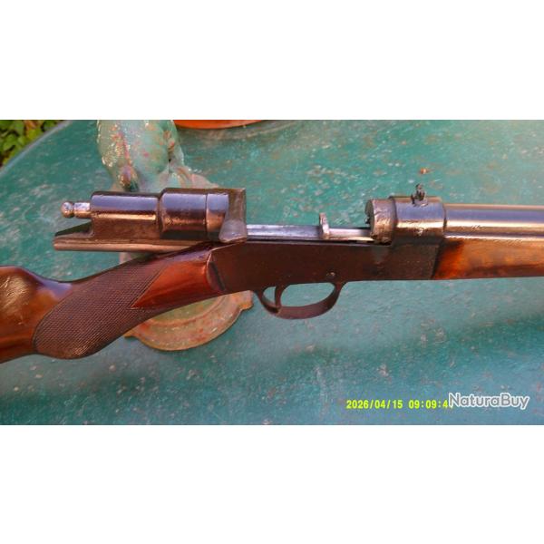 Belle carabine 22LR de marque Buffalo en superbe �tat