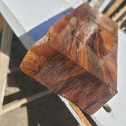 &Eacute;bauche de noyer