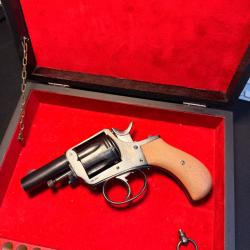 Magnifique revolvers type 380 Bulldog avec son coffret