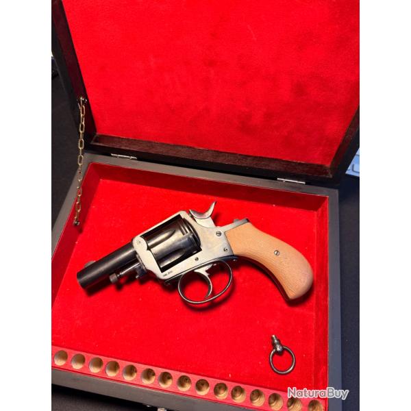 Magnifique revolvers type 380 Bulldog avec son coffret