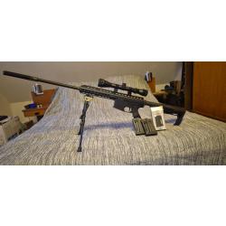 CARABINE 22LR PALLAS